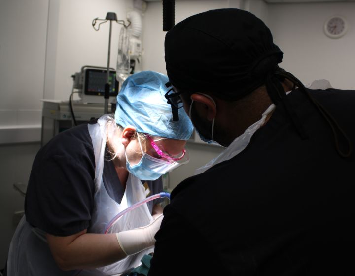 What Happens If You Don’t Get a Root Canal? The Consequences of Ignoring a Damaged Tooth