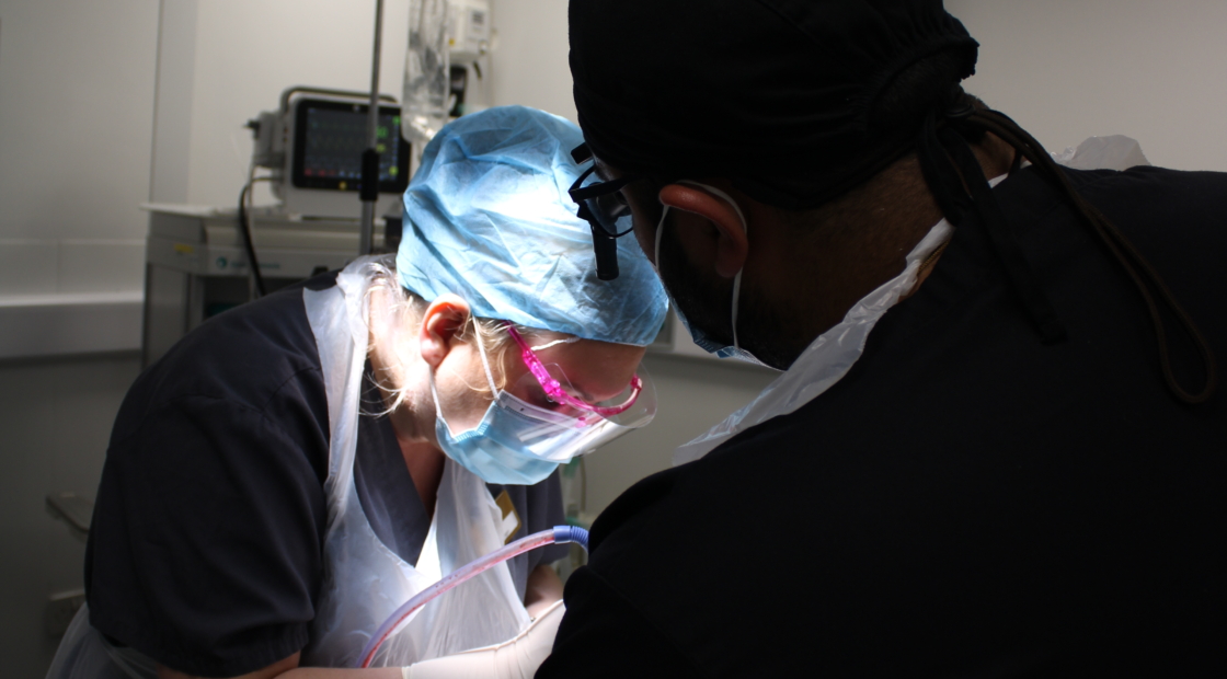 What Happens If You Don’t Get a Root Canal? The Consequences of Ignoring a Damaged Tooth