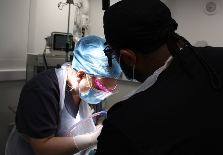 What Happens If You Don’t Get a Root Canal? The Consequences of Ignoring a Damaged Tooth